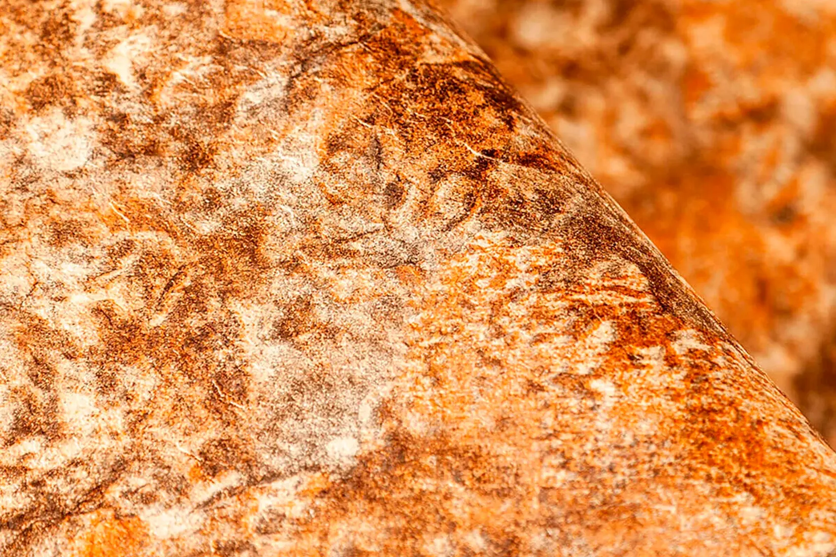 RENOLIT ALKORPLAN TOUCH - AUTHENTIC